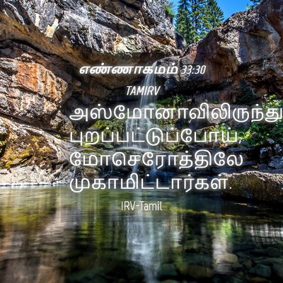 Picture 04 - எண்ணாகமம் 33:30 TAMIRV -  - Bible Verse Picture