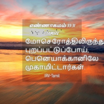 Picture 04 - எண்ணாகமம் 33:31 TAMIRV -  - Bible Verse Picture