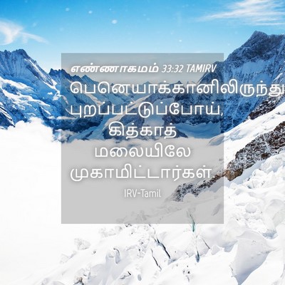 Picture 04 - எண்ணாகமம் 33:32 TAMIRV -  - Bible Verse Picture