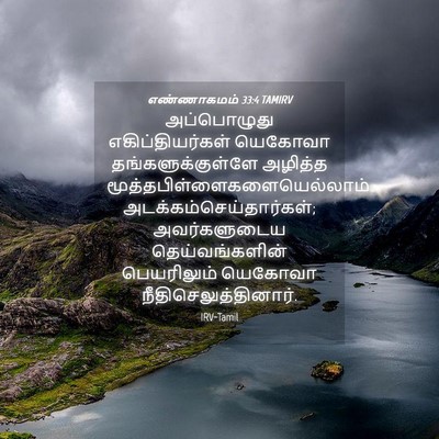 Picture 04 - எண்ணாகமம் 33:4 TAMIRV - அப்பொழுது - Bible Verse Picture