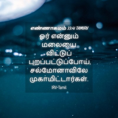 Picture 04 - எண்ணாகமம் 33:41 TAMIRV - ஓர் என்னும் மலையை - Bible Verse Picture