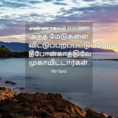 Picture 04 - எண்ணாகமம் 33:45 TAMIRV - அந்த மேடுகளை - Bible Verse Picture
