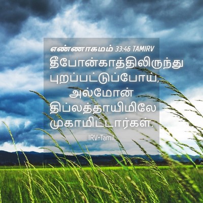 Picture 04 - எண்ணாகமம் 33:46 TAMIRV -  - Bible Verse Picture