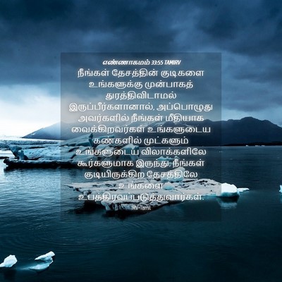 Picture 04 - எண்ணாகமம் 33:55 TAMIRV - நீங்கள் தேசத்தின் - Bible Verse Picture