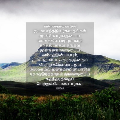 Picture 04 - எண்ணாகமம் 34:14 TAMIRV - ரூபன் - Bible Verse Picture