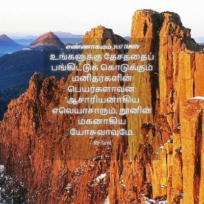 Picture 04 - எண்ணாகமம் 34:17 TAMIRV - உங்களுக்கு - Bible Verse Picture