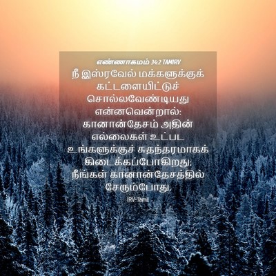 Picture 04 - எண்ணாகமம் 34:2 TAMIRV - நீ இஸ்ரவேல் - Bible Verse Picture