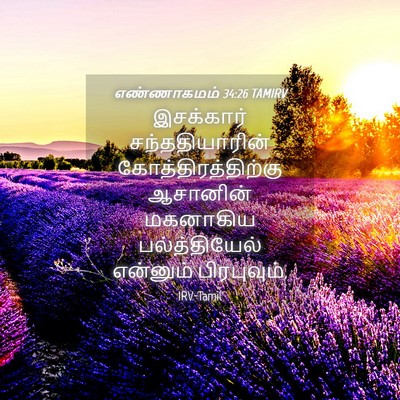 Picture 04 - எண்ணாகமம் 34:26 TAMIRV - இசக்கார் - Bible Verse Picture