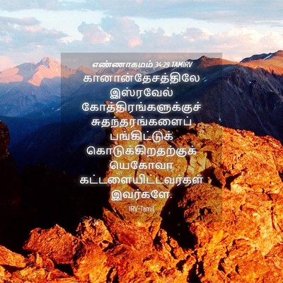 Picture 04 - எண்ணாகமம் 34:29 TAMIRV - கானான்தேசத்திலே - Bible Verse Picture