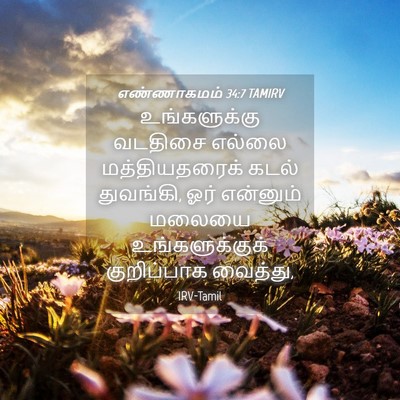Picture 04 - எண்ணாகமம் 34:7 TAMIRV - உங்களுக்கு வடதிசை - Bible Verse Picture