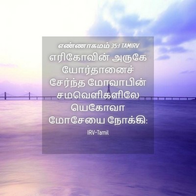 Picture 04 - எண்ணாகமம் 35:1 TAMIRV - எரிகோவின் அருகே - Bible Verse Picture