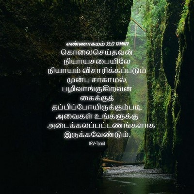 Picture 04 - எண்ணாகமம் 35:12 TAMIRV - கொலைசெய்தவன் - Bible Verse Picture