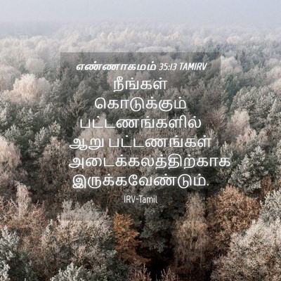 Picture 04 - எண்ணாகமம் 35:13 TAMIRV - நீங்கள் - Bible Verse Picture