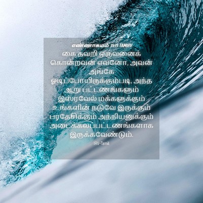 Picture 04 - எண்ணாகமம் 35:15 TAMIRV - கை தவறி ஒருவனைக் - Bible Verse Picture