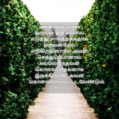 Picture 04 - எண்ணாகமம் 35:17 TAMIRV - ஒருவன் ஒரு கல்லை - Bible Verse Picture