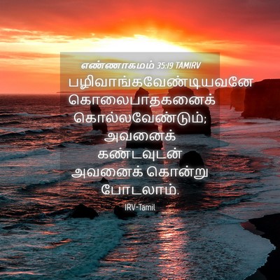 Picture 04 - எண்ணாகமம் 35:19 TAMIRV -  - Bible Verse Picture