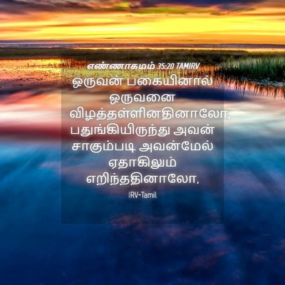 Picture 04 - எண்ணாகமம் 35:20 TAMIRV - ஒருவன் பகையினால் - Bible Verse Picture