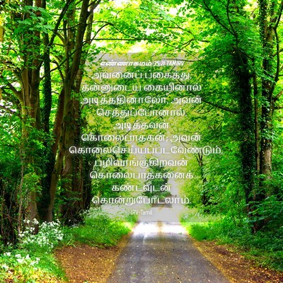Picture 04 - எண்ணாகமம் 35:21 TAMIRV - அவனைப் பகைத்து, - Bible Verse Picture