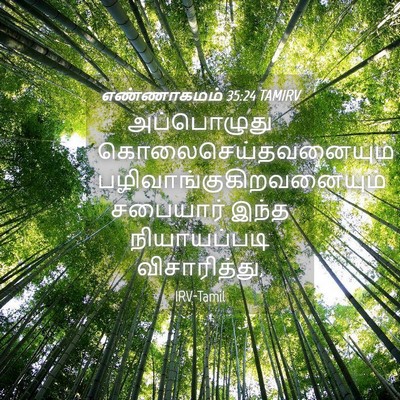 Picture 04 - எண்ணாகமம் 35:24 TAMIRV - அப்பொழுது - Bible Verse Picture