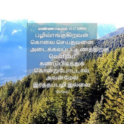 Picture 04 - எண்ணாகமம் 35:27 TAMIRV - பழிவாங்குகிறவன் - Bible Verse Picture
