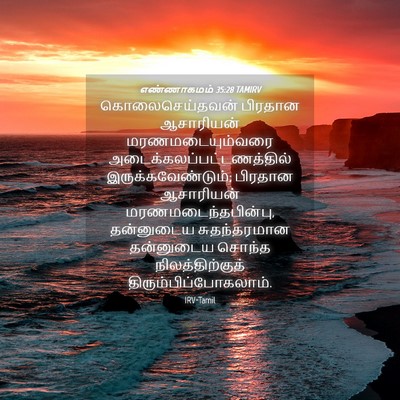 Picture 04 - எண்ணாகமம் 35:28 TAMIRV - கொலைசெய்தவன் - Bible Verse Picture