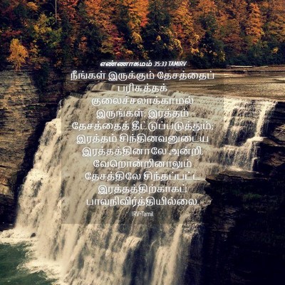 Picture 04 - எண்ணாகமம் 35:33 TAMIRV - நீங்கள் இருக்கும் - Bible Verse Picture