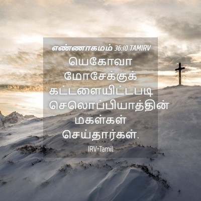 Picture 04 - எண்ணாகமம் 36:10 TAMIRV - யெகோவா மோசேக்குக் - Bible Verse Picture