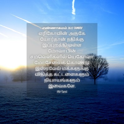 Picture 04 - எண்ணாகமம் 36:13 TAMIRV - எரிகோவின் அருகே - Bible Verse Picture