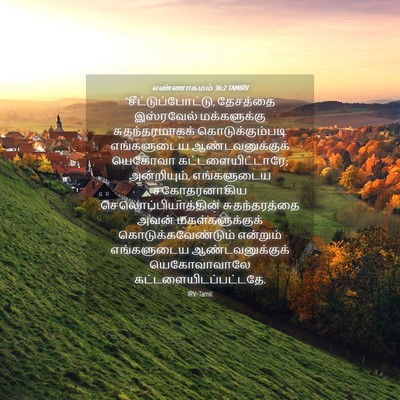 Picture 04 - எண்ணாகமம் 36:2 TAMIRV - “சீட்டுப்போட்டு, - Bible Verse Picture
