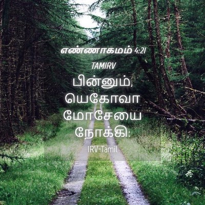 Picture 04 - எண்ணாகமம் 4:21 TAMIRV - பின்னும், யெகோவா - Bible Verse Picture