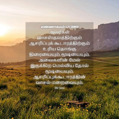 Picture 04 - எண்ணாகமம் 4:25 TAMIRV - அவர்கள் - Bible Verse Picture