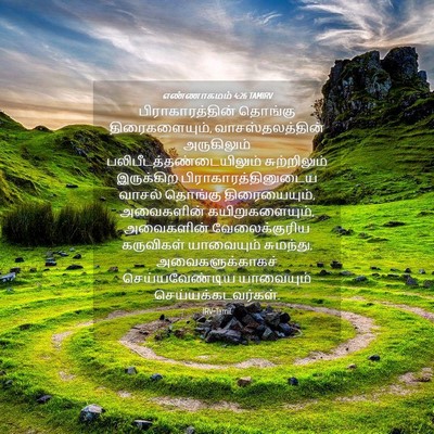 Picture 04 - எண்ணாகமம் 4:26 TAMIRV - பிராகாரத்தின் - Bible Verse Picture