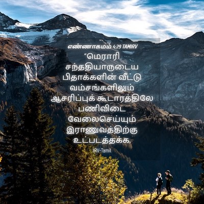 Picture 04 - எண்ணாகமம் 4:29 TAMIRV - “மெராரி - Bible Verse Picture