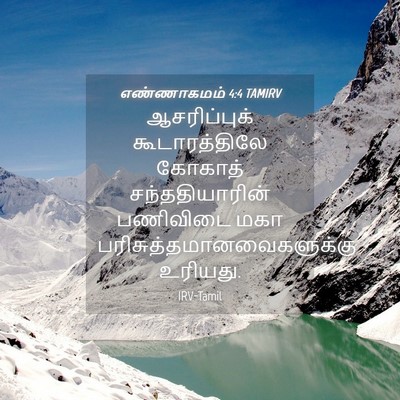 Picture 04 - எண்ணாகமம் 4:4 TAMIRV - ஆசரிப்புக் - Bible Verse Picture
