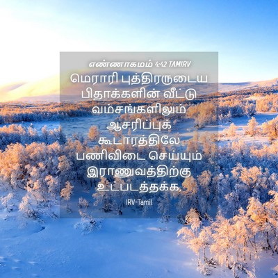 Picture 04 - எண்ணாகமம் 4:42 TAMIRV - மெராரி - Bible Verse Picture