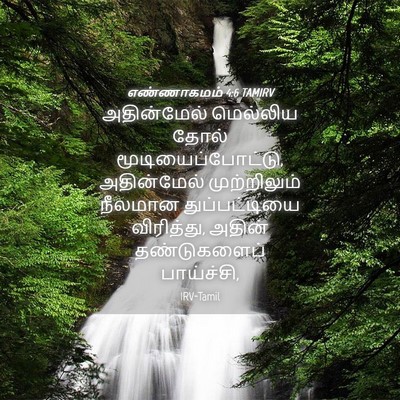 Picture 04 - எண்ணாகமம் 4:6 TAMIRV - அதின்மேல் மெல்லிய - Bible Verse Picture