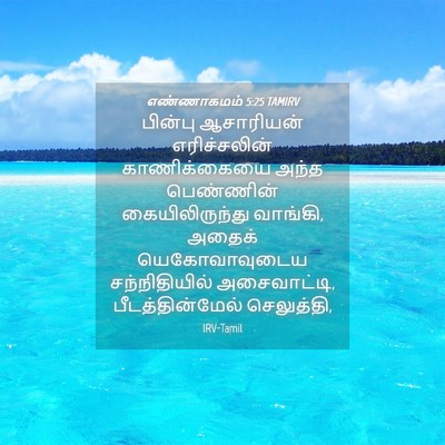 Picture 04 - எண்ணாகமம் 5:25 TAMIRV - பின்பு ஆசாரியன் - Bible Verse Picture