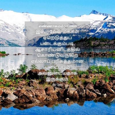 Picture 04 - எண்ணாகமம் 5:9 TAMIRV - இஸ்ரவேல் மக்கள் - Bible Verse Picture
