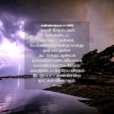 Picture 04 - எண்ணாகமம் 6:12 TAMIRV - அவன் திரும்பவும் - Bible Verse Picture