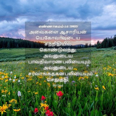 Picture 04 - எண்ணாகமம் 6:16 TAMIRV - அவைகளை ஆசாரியன் - Bible Verse Picture