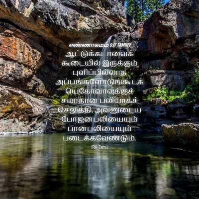Picture 04 - எண்ணாகமம் 6:17 TAMIRV - ஆட்டுக்கடாவைக் - Bible Verse Picture