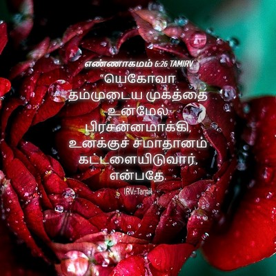 Picture 04 - எண்ணாகமம் 6:26 TAMIRV - “யெகோவா தம்முடைய - Bible Verse Picture