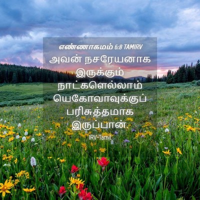 Picture 04 - எண்ணாகமம் 6:8 TAMIRV - அவன் நசரேயனாக - Bible Verse Picture