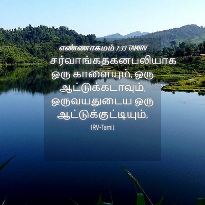 Picture 04 - எண்ணாகமம் 7:33 TAMIRV -  - Bible Verse Picture