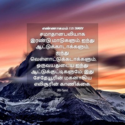 Picture 04 - எண்ணாகமம் 7:35 TAMIRV - சமாதானபலியாக - Bible Verse Picture