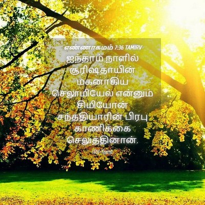 Picture 04 - எண்ணாகமம் 7:36 TAMIRV - ஐந்தாம் நாளில் - Bible Verse Picture