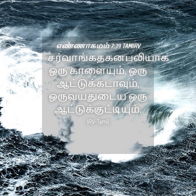 Picture 04 - எண்ணாகமம் 7:39 TAMIRV -  - Bible Verse Picture