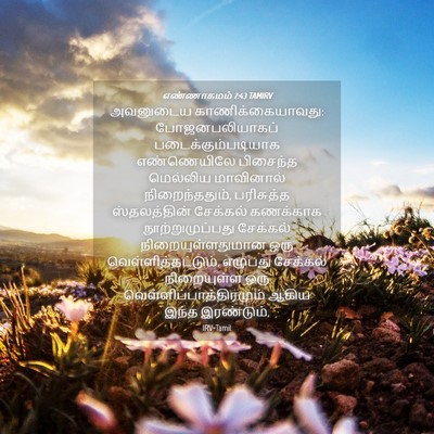Picture 04 - எண்ணாகமம் 7:43 TAMIRV - அவனுடைய - Bible Verse Picture