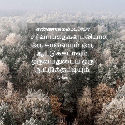 Picture 04 - எண்ணாகமம் 7:45 TAMIRV -  - Bible Verse Picture