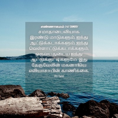 Picture 04 - எண்ணாகமம் 7:47 TAMIRV - சமாதானபலியாக - Bible Verse Picture